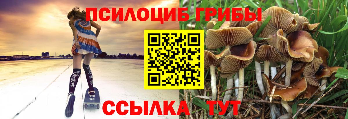 Серпухов  Псилоцибиновые грибы Psilocybe  Вход с VPN 
