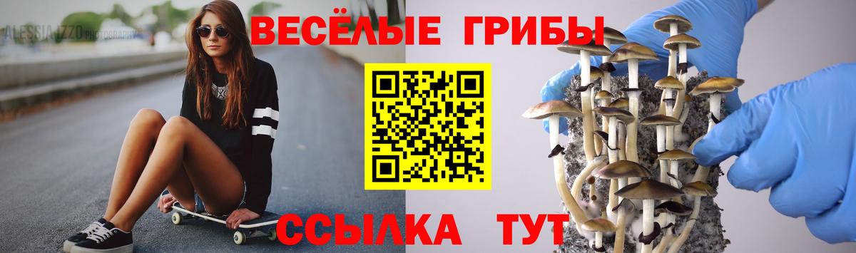 Псилоцибиновые грибы Psilocybine cubensis Серпухов